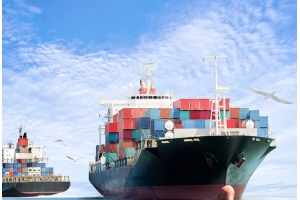 上?？缇畴娚涛锪鞴ヂ裕航?jīng)濟(jì)實惠、高效便捷一站式服務(wù)全解析